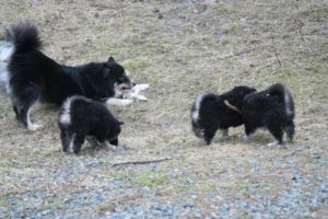 Playtime with mom