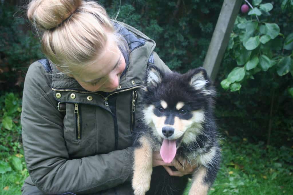 Odin