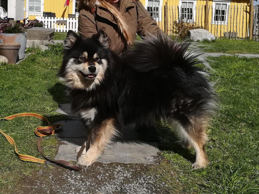 Isa - Retired