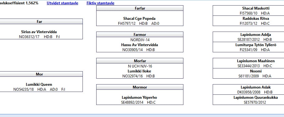 Akaisa